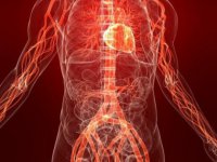 Как спастись от атеросклероза: главные угрозы и советы врачей